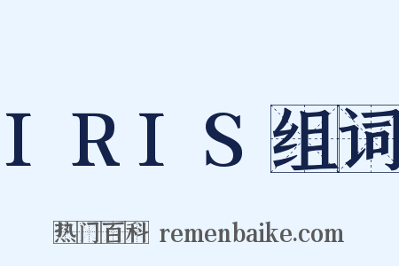 IRIS组词是什么意思的图片